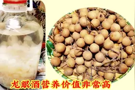 家里有龙眼的，教你制作龙眼酒，配方比例这个好，营养价值高，视频封面