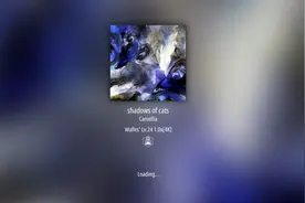 影猫(shadows of cats)视频封面