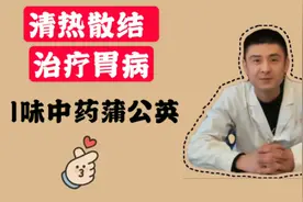 1味中药蒲公英，不仅清热散结，还能治疗胃病，禹州阿飞给你讲视频封面