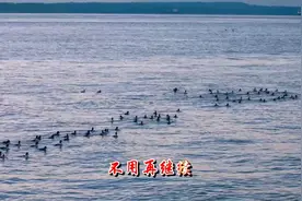 好歌推荐，一首《没有关系》，好听！视频封面