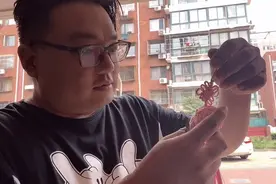 媳妇遛弯捡到一个泡沫球，回家做了个车挂，老公以为是买的视频封面