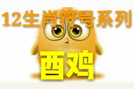 提升一个层次，认清一个生肖，12之酉鸡：义无反顾 眼高手低视频封面
