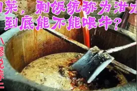 剩菜剩饭统称为泔水，泔水喂牛好不好？听听养牛人怎么说视频封面