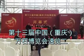 第十三届中国（重庆）万石博览会速览二视频封面