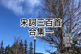 粤语朗读宋词三百首，赵佶、钱惟演、范仲淹、张先合集视频封面