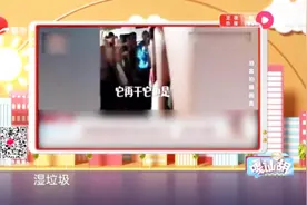 太欢乐了！上海导游教游客背垃圾分类口诀，来跟着导游一起念！视频封面