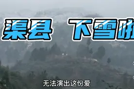 渠县下雪了视频封面