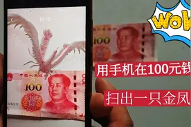兵哥教大家，如何用手机从100元钱里扫出金凤凰，快来看看吧视频封面
