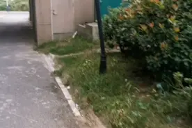泰兴城东一个小镇    虽然不大   你们猜猜这是哪里视频封面