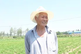 农村78岁老人两个儿子两个女儿，谁给的生活费多？听大爷怎么说视频封面