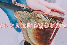 良心？！农家蜂蜜是这样制作的？！视频封面