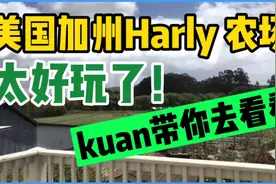 美国加州哈利农场太好玩了，宽兴奋的说了句话超搞笑，是什么呢？视频封面