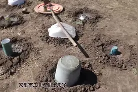 张家口沽源大婶在院子种菜，把自家的盆碗拿出来扣菜苗，太有意思视频封面