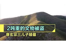 实拍李隆基三儿子陵墓，陵前价值百万的文物被盗，盗墓贼太猖狂了视频封面