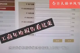 刘会计填报公司工商年检报告，一看就能学会，大家的年检都做了吗视频封面