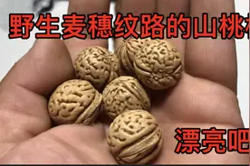 野三坡李主任从山上捡回来的桃核，告诉大家怎样清理干净，漂亮吧