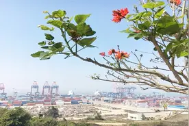 我国唯一一座特殊城市，城市名字三字同音，你知道是哪里吗