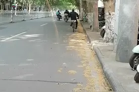 希望襄阳市政府把这些梧桐絮彻底治理下！视频封面