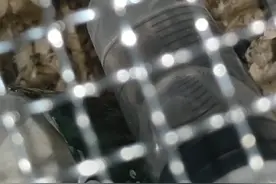 教教新到的仓鼠用我自制的饮水器视频封面