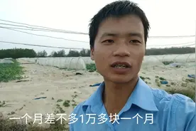 小伙在海南西瓜地一万多一个月，干活很累，一般年轻人吃不消，视频封面