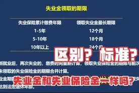 失业金和失业保险有什么区别？了解这些把握好福利！不会搞混了！视频封面
