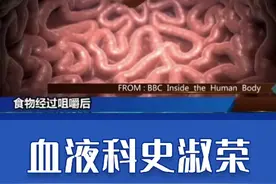 人体是如何消化食物转化为能量？视频封面