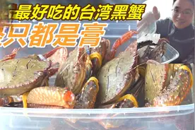 潮汕人冬天最爱这种台湾螃蟹：黑乎乎却肥美到流油，仅少数人知道