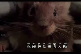 汤姆和杰瑞真人版，笑掉大牙视频封面