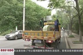 马鞍山市园林处对全市园林树木进行病虫害防治视频封面