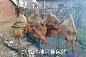 农村腌制十多天的鸭子，它还会活过来，土办法对付它