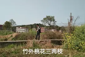 竹外桃花三两枝
表演：周省国视频封面