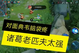 诸葛亮太强，对面典韦脑袋疼视频封面