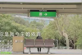你是我今生的依靠          冷漠  杨小曼视频封面