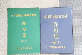 想养殖野生动物，需要办理哪些手续？农村特禽养殖小伙详细告诉你视频封面