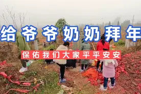 给爷爷奶奶坟上拜年，保佑我们大家平平安安，健健康康，顺顺利利视频封面