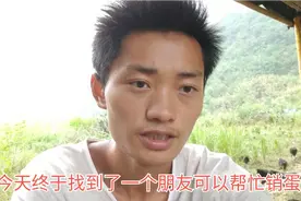 终于找到土鸡蛋销路，为啥不赚钱也得卖，小伙心里苦呀视频封面