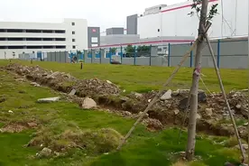 亚洲京东一号好大好大，可惜了再大也得离职