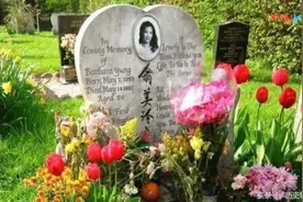翁美玲最全个人档案,包括翁美玲自己个性签名,翁迷们收藏必备视频封面