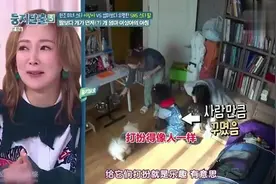 韩国明星母女早上第一件事,就是给狗狗喂饭,打扮得像人一样漂亮视频封面