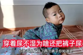 山东2岁男童晚上睡觉被尿湿两条裤子，为啥穿着尿不湿还尿了裤子视频封面