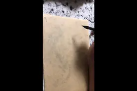 后之视今，亦犹今之视昔
译：后人看待今人，也就像今人看待前人视频封面