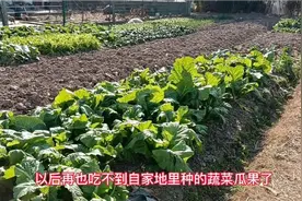 上海奉贤农村即将拆迁，多年以后可能再也看不到此情此景了！视频封面