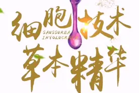 什么是雪莲培养物人参精粉视频封面