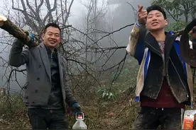 现在快手最红的一个网红！快手搜索辛巴家族（木子哥）