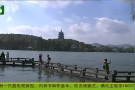 以后来杭州如何游西湖 老人重现“三十三景” 南宋西湖这样游视频封面