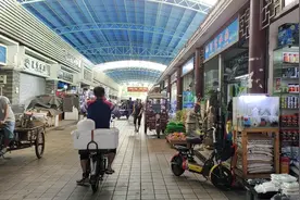 观赏鱼批发市场，鹦鹉鱼才卖6元一条，老板朋友都不敢相信这是真视频封面