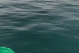 海南陵水新村疍家鱼排筏钓矶钓全过程视频封面