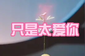 《只是太爱你》好听抒情的歌，要懂得珍惜眼前人