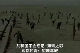 成都知青之歌-望断蓉城视频封面