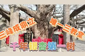 天下银杏第一树，浮来三峰成鼎立，山东唯一三教堂视频封面